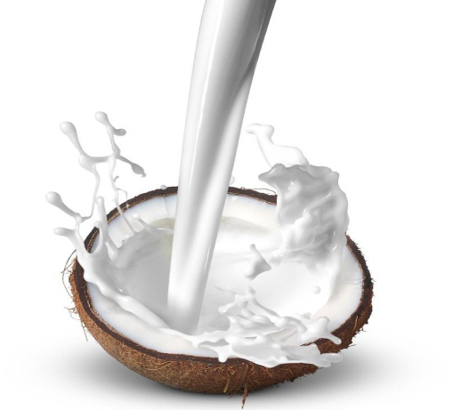 植物蛋白饮料-----椰子汁的生产工艺